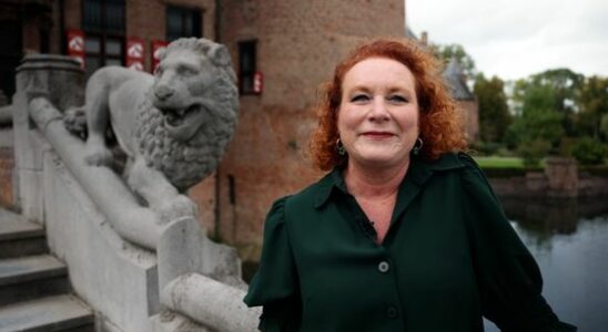 Is this Utrecht castle fake or real The fried chickens