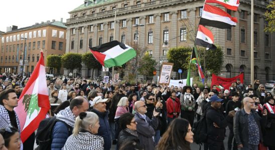 Large demonstration for Palestine in Stockholm