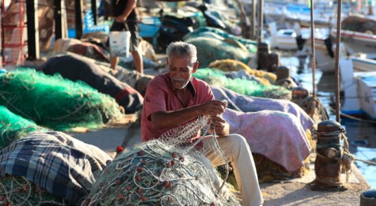 Lebanons fishermen destitute overnight