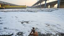 Life dead from one of the most significant rivers in