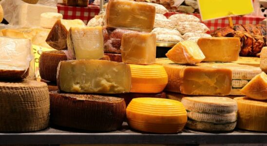 Listeria alert recall of many cheeses sold throughout France