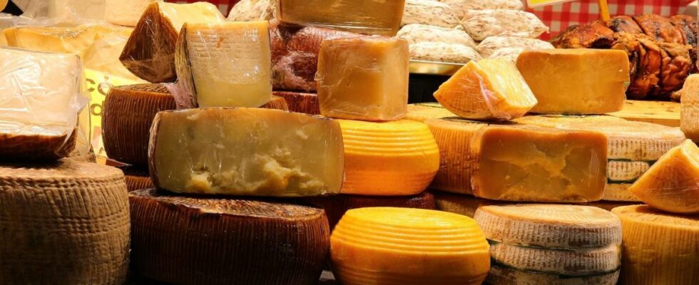 Listeria alert recall of many cheeses sold throughout France