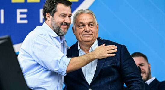 Matteo Salvini and Viktor Orban attack the European Commission