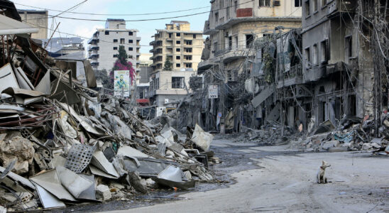 Nabatieh a town that became a ghost after Israeli bombings