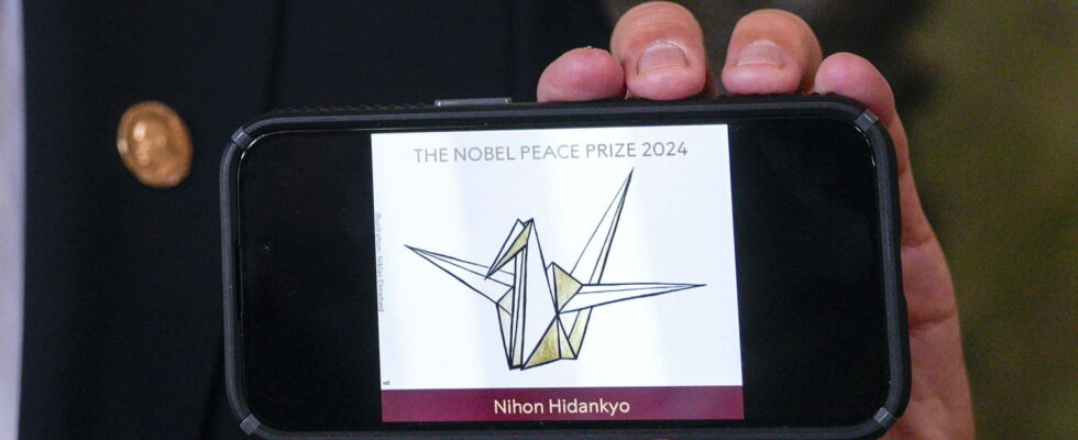 Nobel Peace Prize 2024 what is the role of the