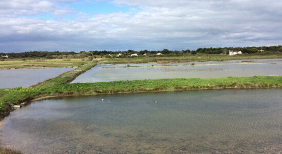 Noirmoutier an island against the sea