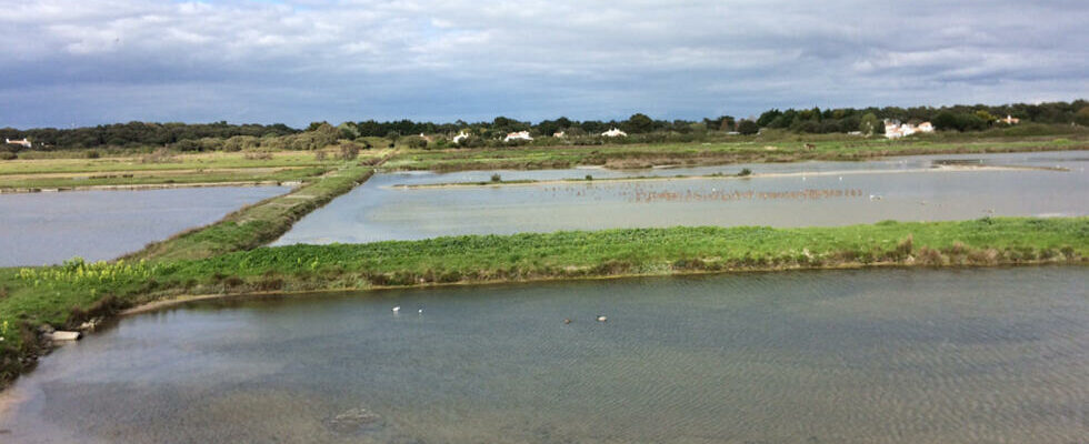 Noirmoutier an island against the sea