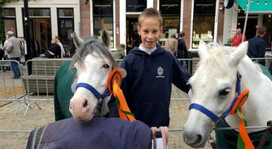 Not one but two winning ponies Mathijs scores highly at