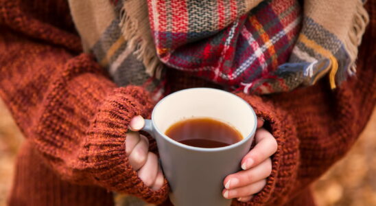 Packed with antioxidants this popcorn flavored tea is excellent for immunity