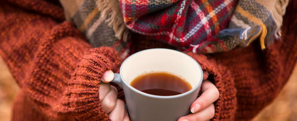 Packed with antioxidants this popcorn flavored tea is excellent for immunity