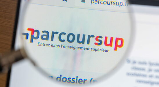 Parcoursup 2025 the dates and key stages to know from