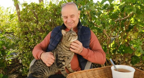 Pets a precious ally for aging well