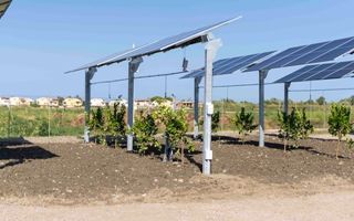 Photovoltaic Alliance agrivoltaic added value for Made in Italy development