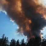 Pollution and forest fires global warming increases deaths study finds