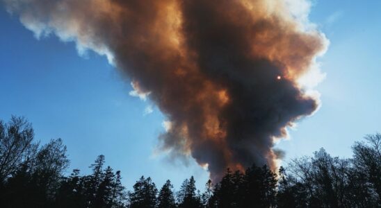 Pollution and forest fires global warming increases deaths study finds