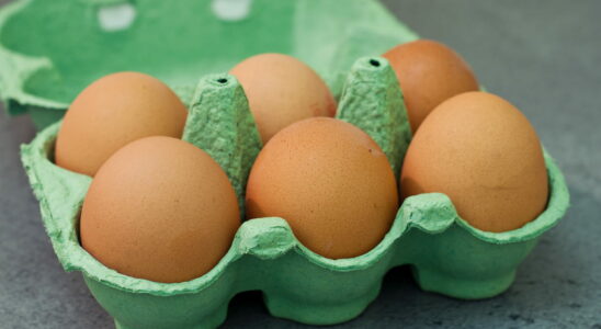 Recall of eggs contaminated with salmonella the complete list of