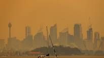 Research Smoke pollution caused by forest fires may cause more