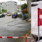 Several five year olds stabbed in Switzerland