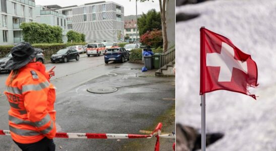 Several five year olds stabbed in Switzerland