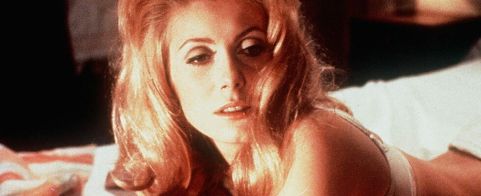 Sexy and delicate this fashion trend adopted by Catherine Deneuve