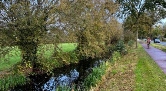 Soest councilors ask for building land in the polder We