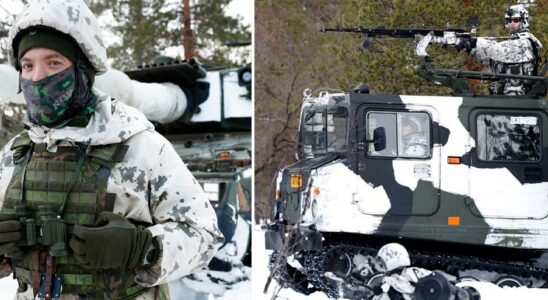 Thats how S wants to build a Swedish Finnish defense together