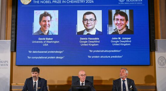 The Nobel Prize in Chemistry rewards work on the design