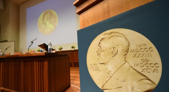 The Nobel Prize in Economics rewards work on differences in