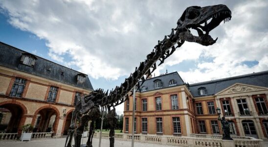 The Vulcan dinosaur is on display at the Chateau de