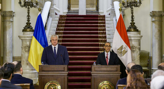 The head of Ukrainian diplomacy in Egypt before a visit