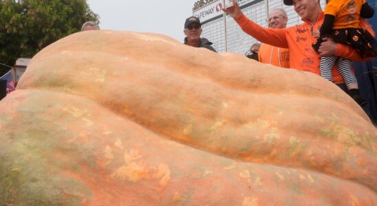 The king of pumpkins won again