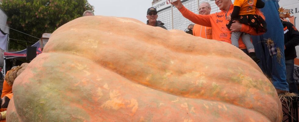 The king of pumpkins won again