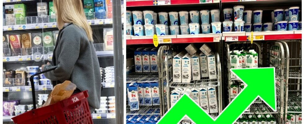 The popular dairy product is returning to store shelves