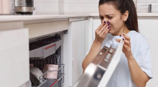 These 14 mistakes that make your house smell bad and