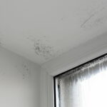 This is the most effective method to prevent condensation and