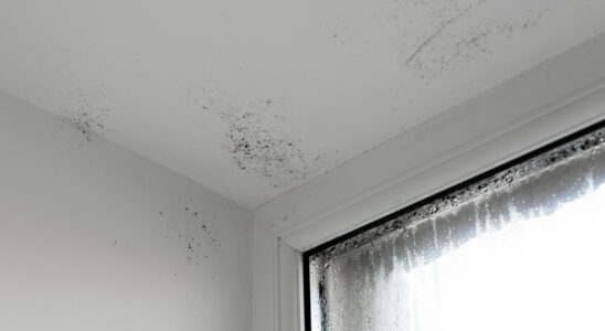 This is the most effective method to prevent condensation and