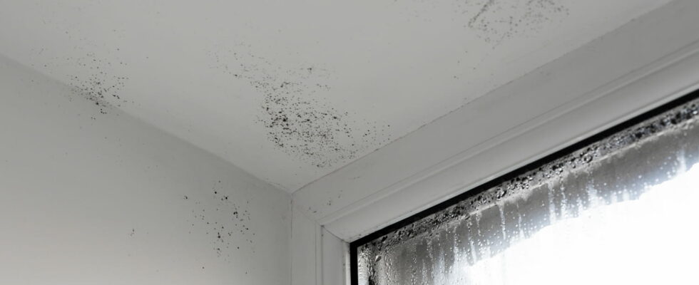 This is the most effective method to prevent condensation and