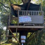 Tree house in Amersfoort must be removed from the municipality