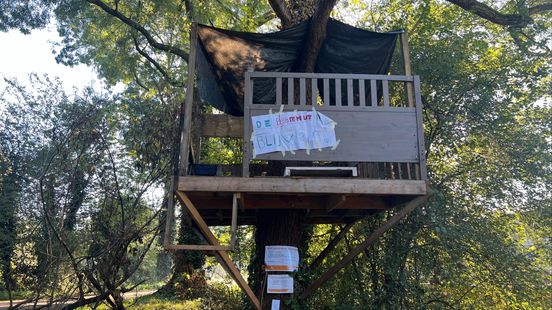 Tree house in Amersfoort must be removed from the municipality