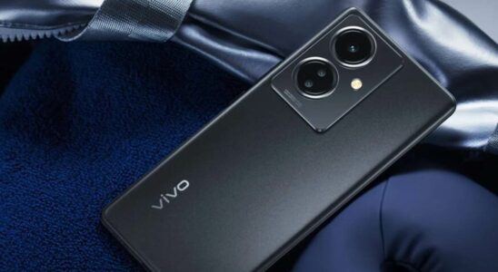 Vivo Affordable Phone Y29 4G Features Revealed