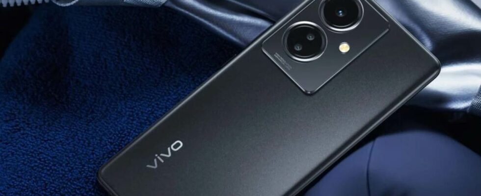 Vivo Affordable Phone Y29 4G Features Revealed