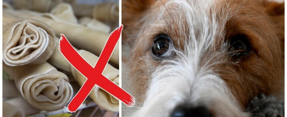 Warns of dangerous dog treats can lead to death