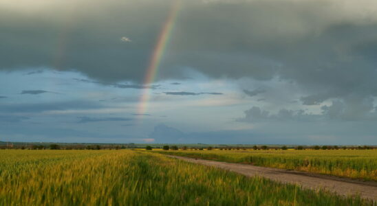 Weather a short lull before the rain returns here are