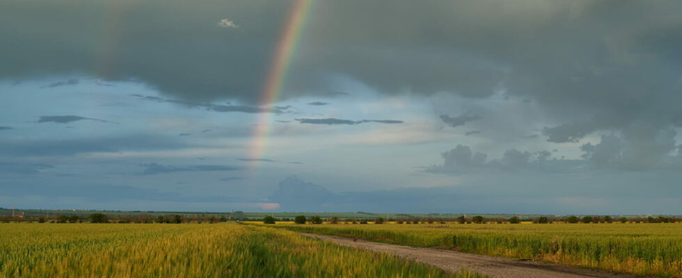 Weather a short lull before the rain returns here are