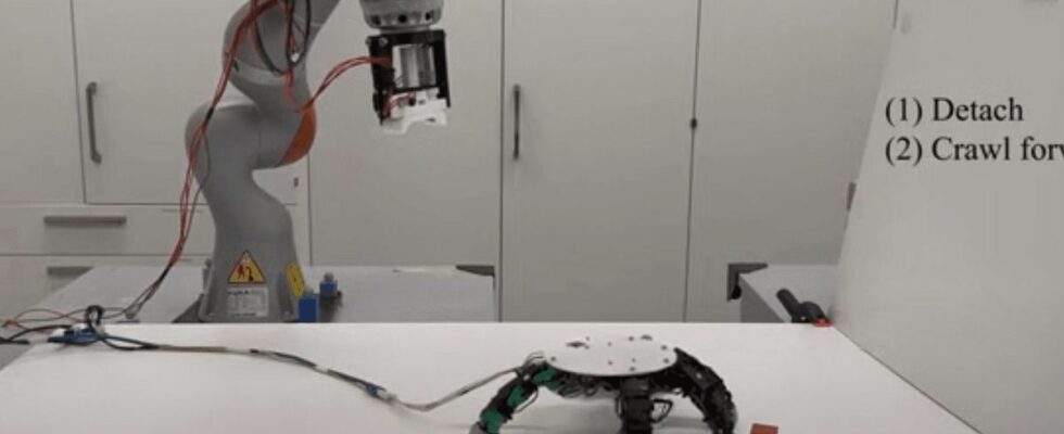 When the robotic hand thinks its a spider and crawls