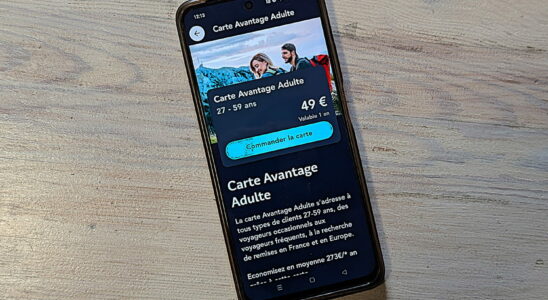 With its Avantage cards the SNCF promises great discounts on