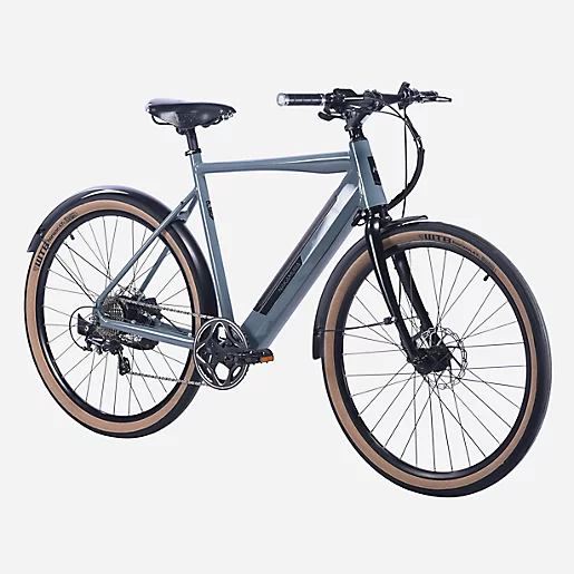 ROADSTER adult electric bike