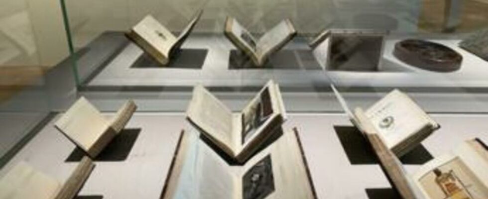 an exhibition pays homage to Salammbo a novel by Gustave