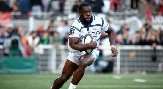 from Yaounde to Castres the crazy race of the Indomitable