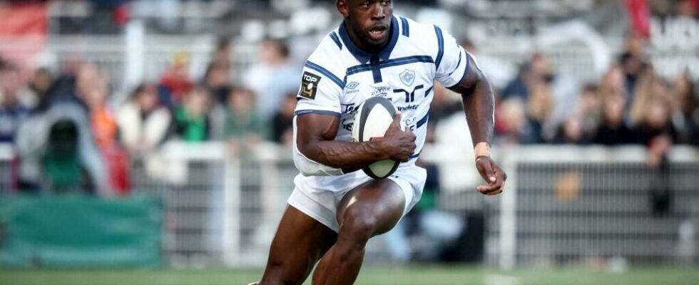 from Yaounde to Castres the crazy race of the Indomitable